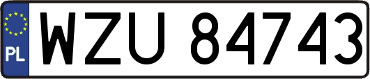 WZU84743
