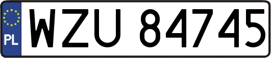 WZU84745
