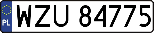 WZU84775