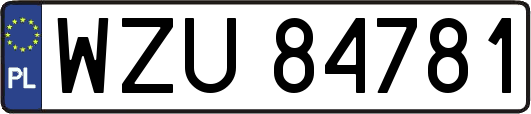 WZU84781