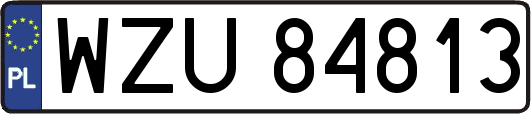 WZU84813