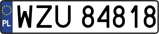 WZU84818