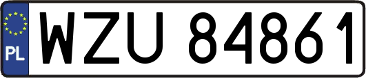 WZU84861