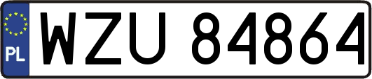 WZU84864