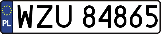 WZU84865