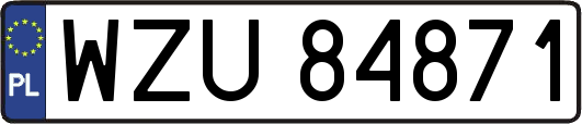 WZU84871