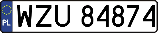 WZU84874