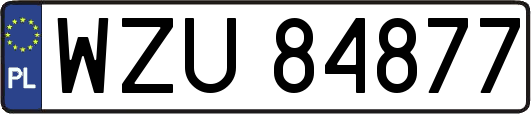 WZU84877