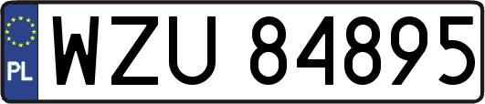 WZU84895