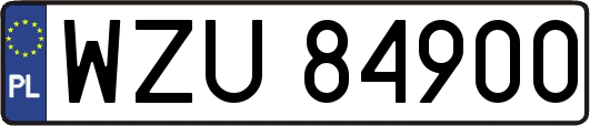 WZU84900