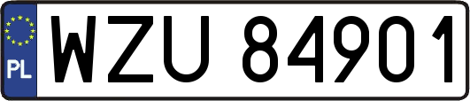 WZU84901