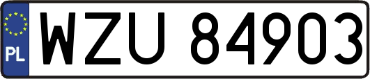WZU84903