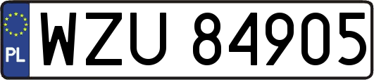 WZU84905