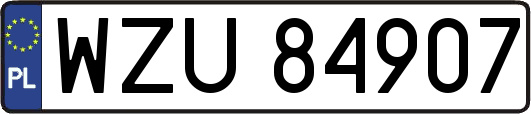 WZU84907