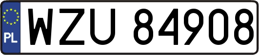 WZU84908