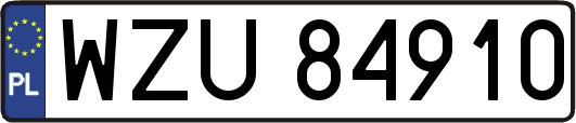 WZU84910