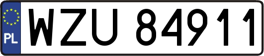 WZU84911