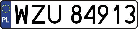 WZU84913