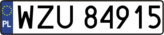 WZU84915