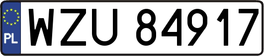 WZU84917