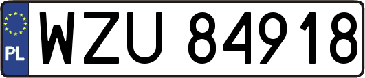 WZU84918