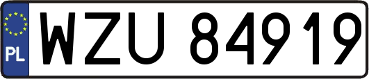 WZU84919