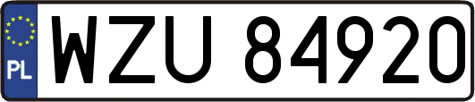 WZU84920