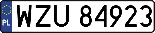 WZU84923