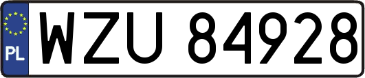 WZU84928