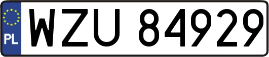 WZU84929