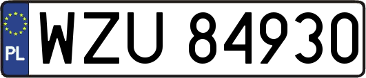 WZU84930