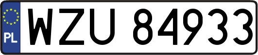 WZU84933