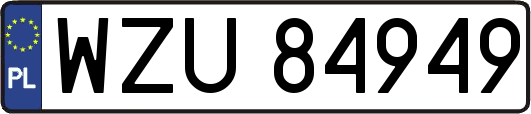 WZU84949