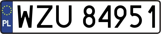 WZU84951
