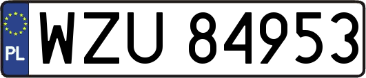 WZU84953