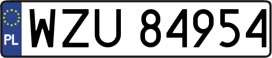 WZU84954