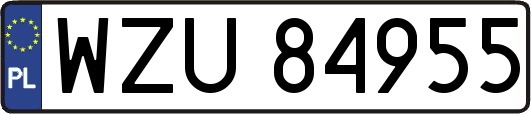 WZU84955