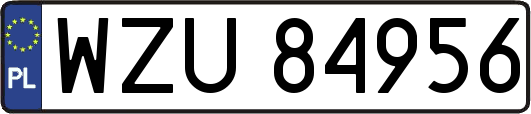 WZU84956