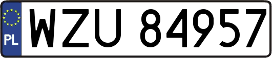 WZU84957