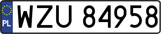 WZU84958