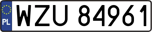 WZU84961