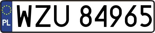 WZU84965