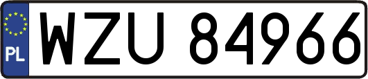 WZU84966