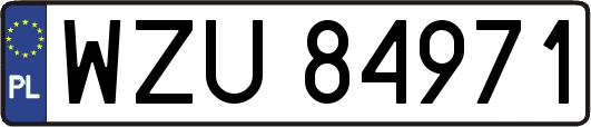 WZU84971