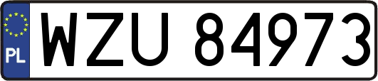 WZU84973
