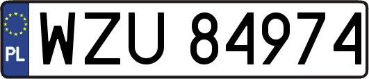 WZU84974