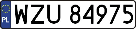WZU84975