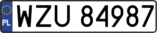 WZU84987