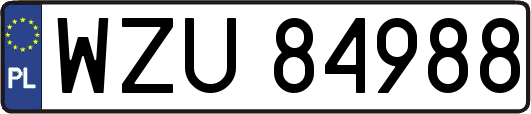 WZU84988