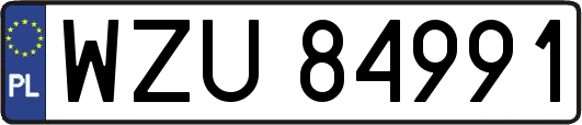 WZU84991